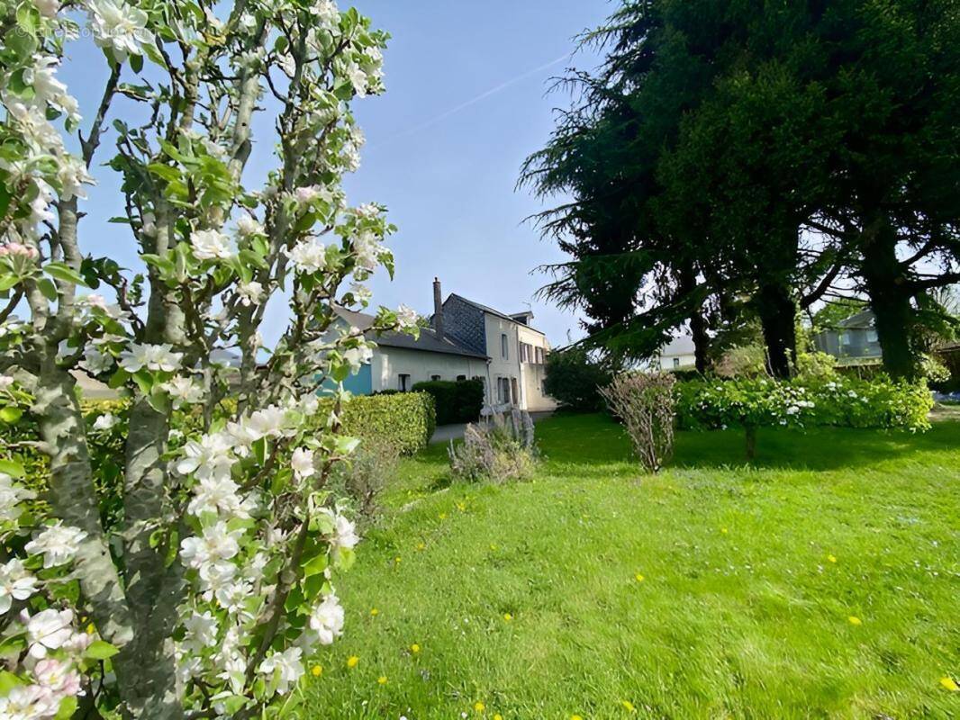 Maison à LE MESNIL-ESNARD