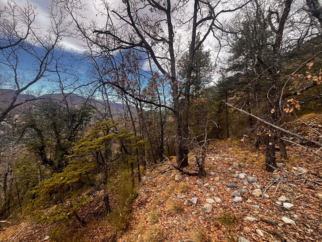 Deux belles parcelles de terrain de loisirs à Clans - photo 6