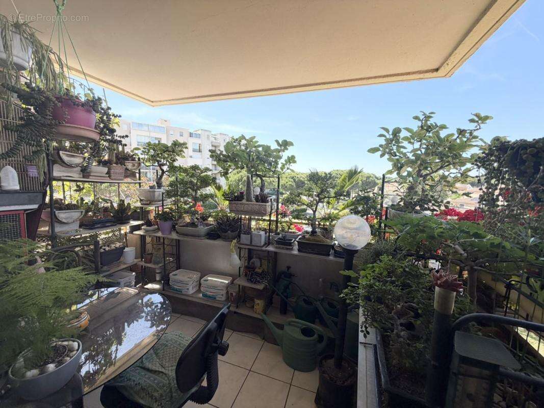 Appartement à LE GRAU-DU-ROI