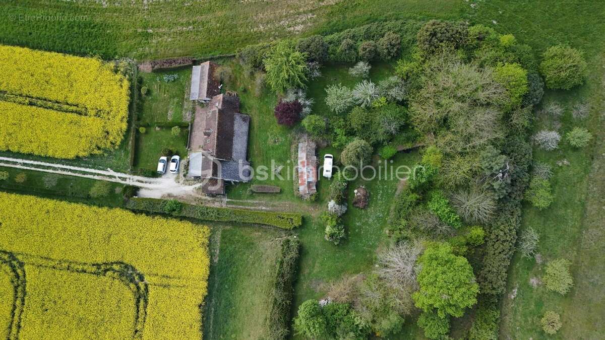 Maison à SAINT-AMAND-LONGPRE
