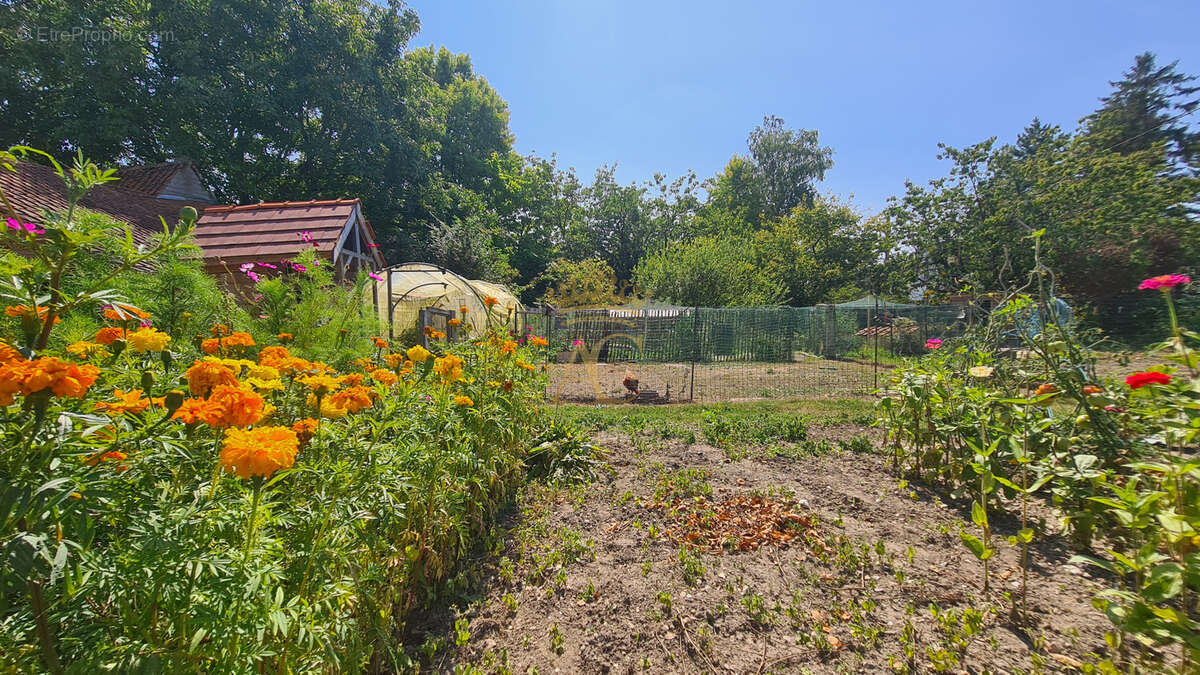 Investissement locatif avec potentiel de valorisation - Marles-sur-Canche. - photo 5