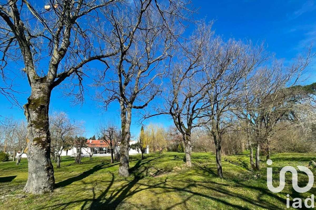 Photo 2 - Maison à REVEL