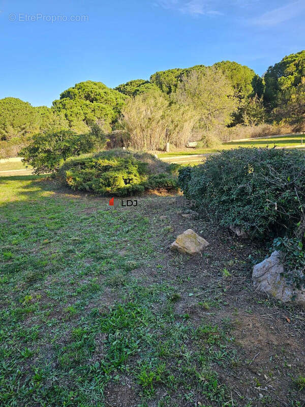 Autre à ARGELES-SUR-MER