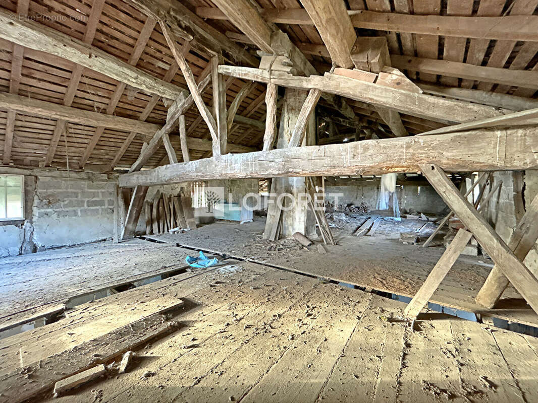 Maison à SAINT-JEAN-SUR-REYSSOUZE