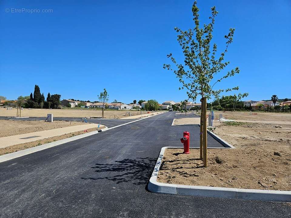 Terrain à NISSAN-LEZ-ENSERUNE