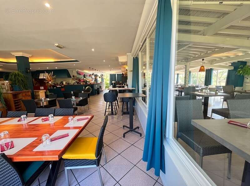 Commerce à SAINT-JEAN-DE-VEDAS