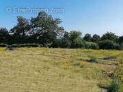 Terrain à COLOMBIES