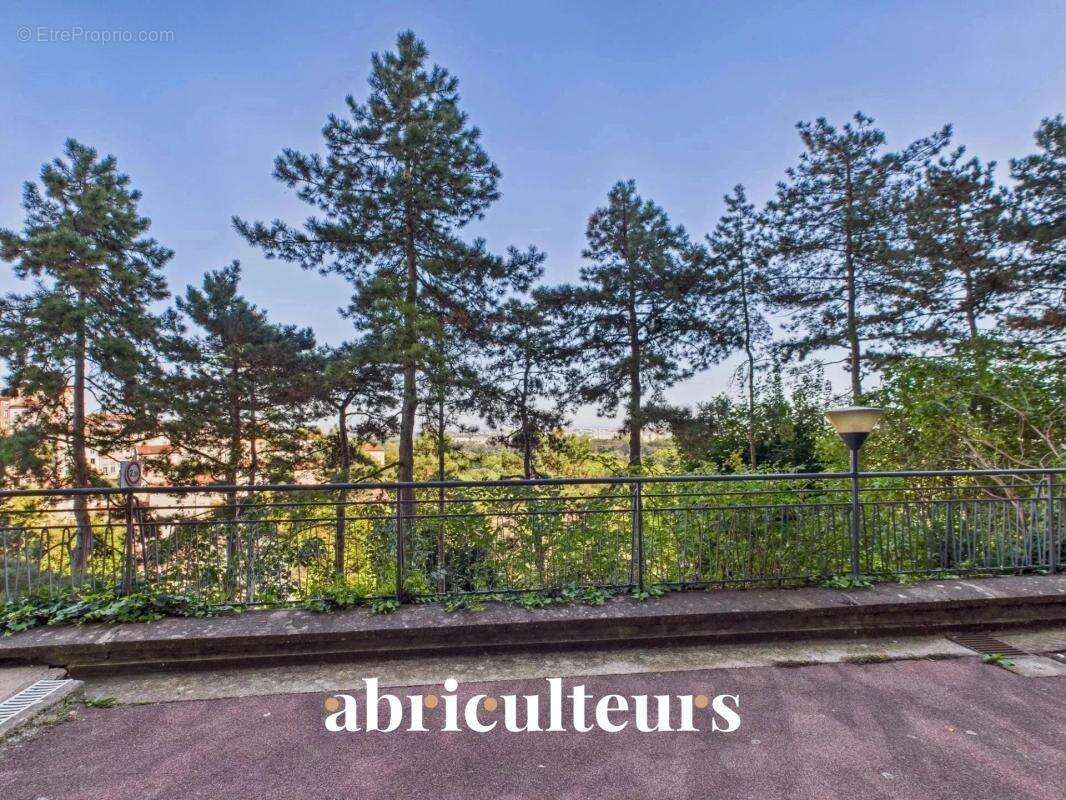 T3 traversant lumineux avec grande terrasse, vue exceptionnelle sur parc, au cœur de la Croix-Rousse - photo 16