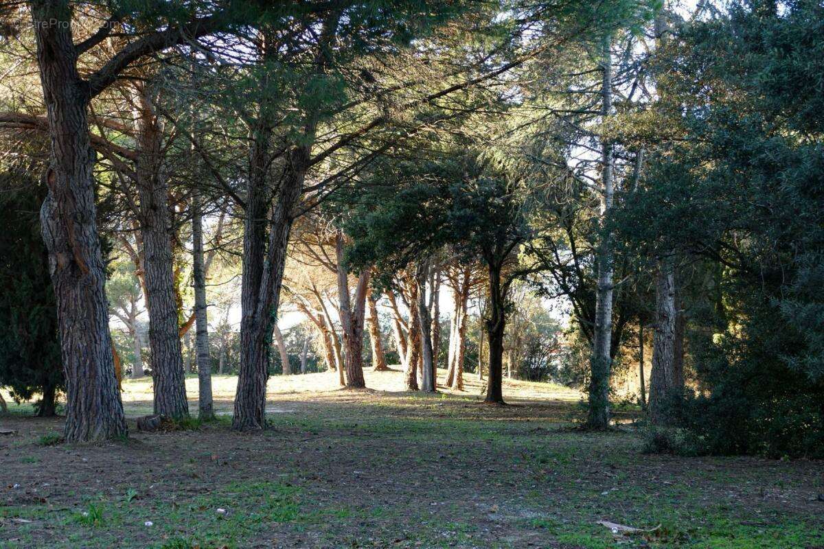 Appartement à ALENYA