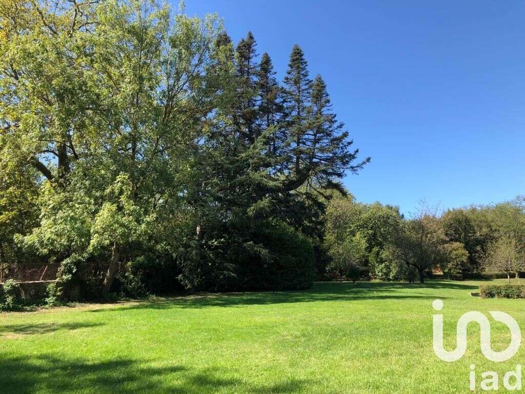 Photo 4 - Maison à VIEILLE-TOULOUSE