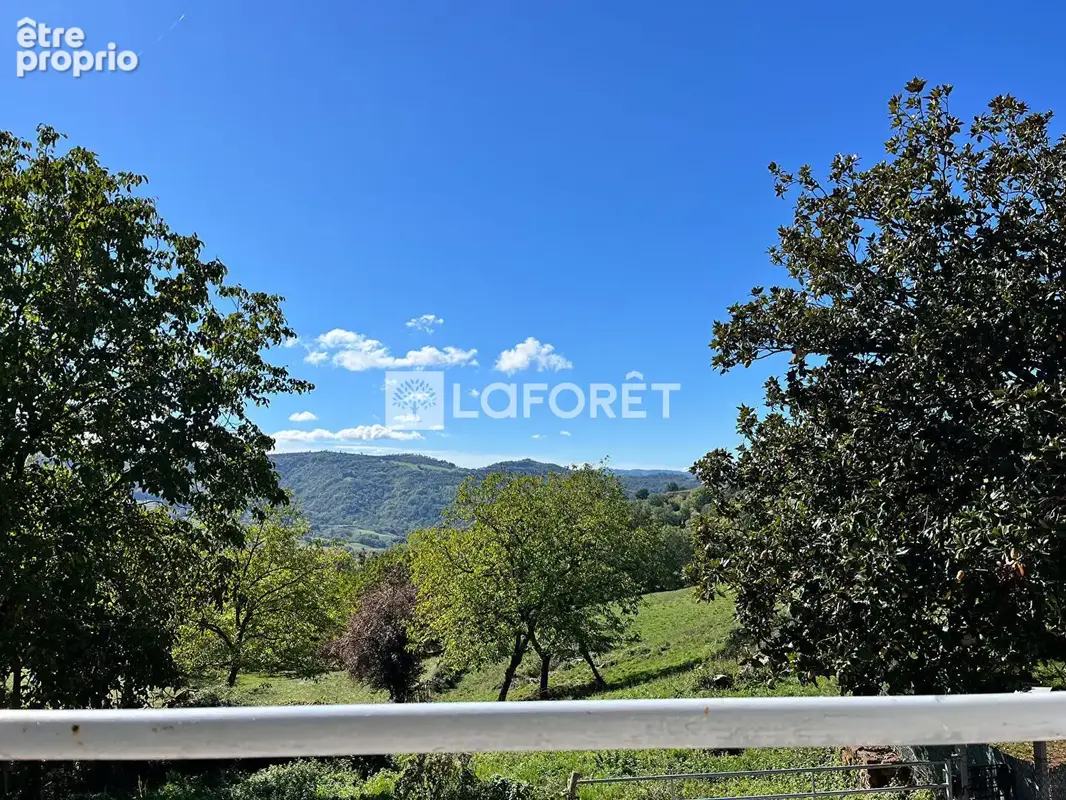 Vallon de pruines: corps de ferme avec 4600 m2 * vigne et verger* - photo 12