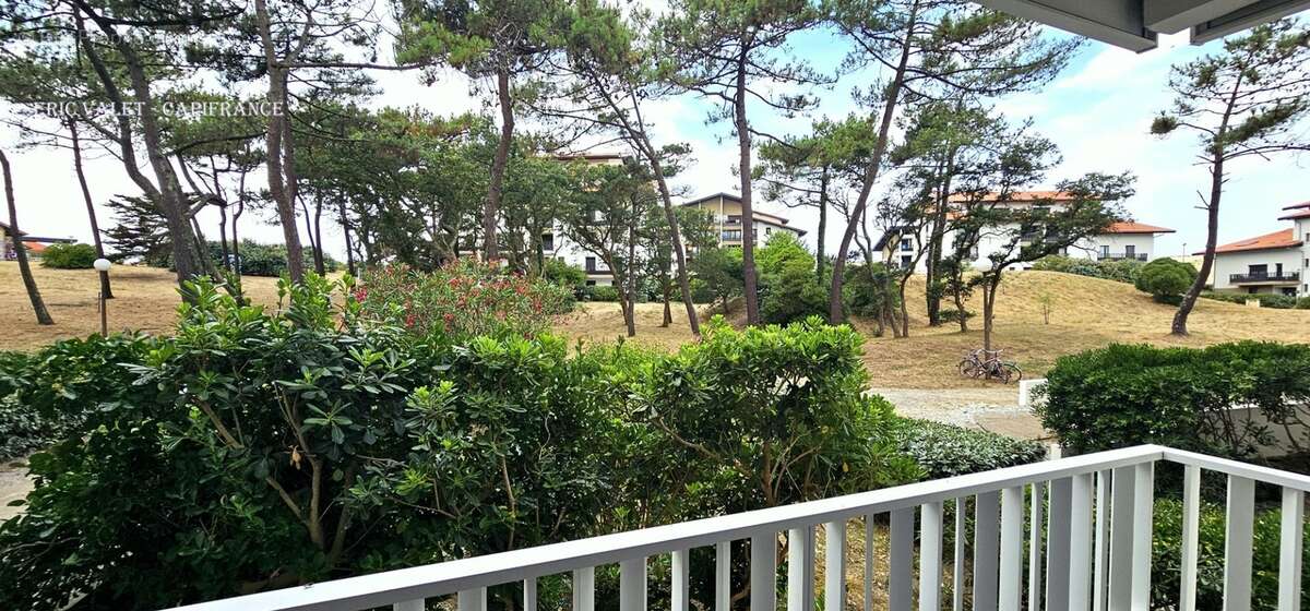 Seignosse ocean(40) - appartement 2 pieces - plage a pied - photo 2