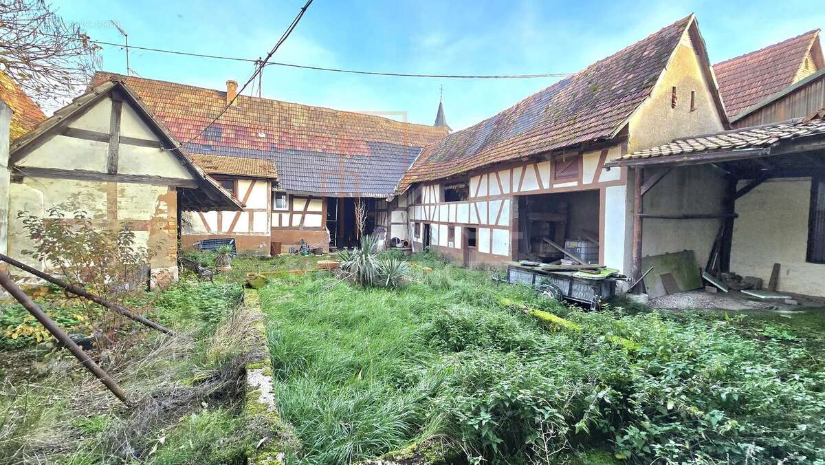 Maison à WINTZENBACH