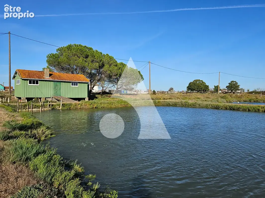 Cabane de loisirs - photo 9