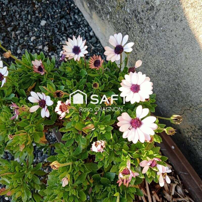 Photo 6 - Maison à FOUSSAIS-PAYRE