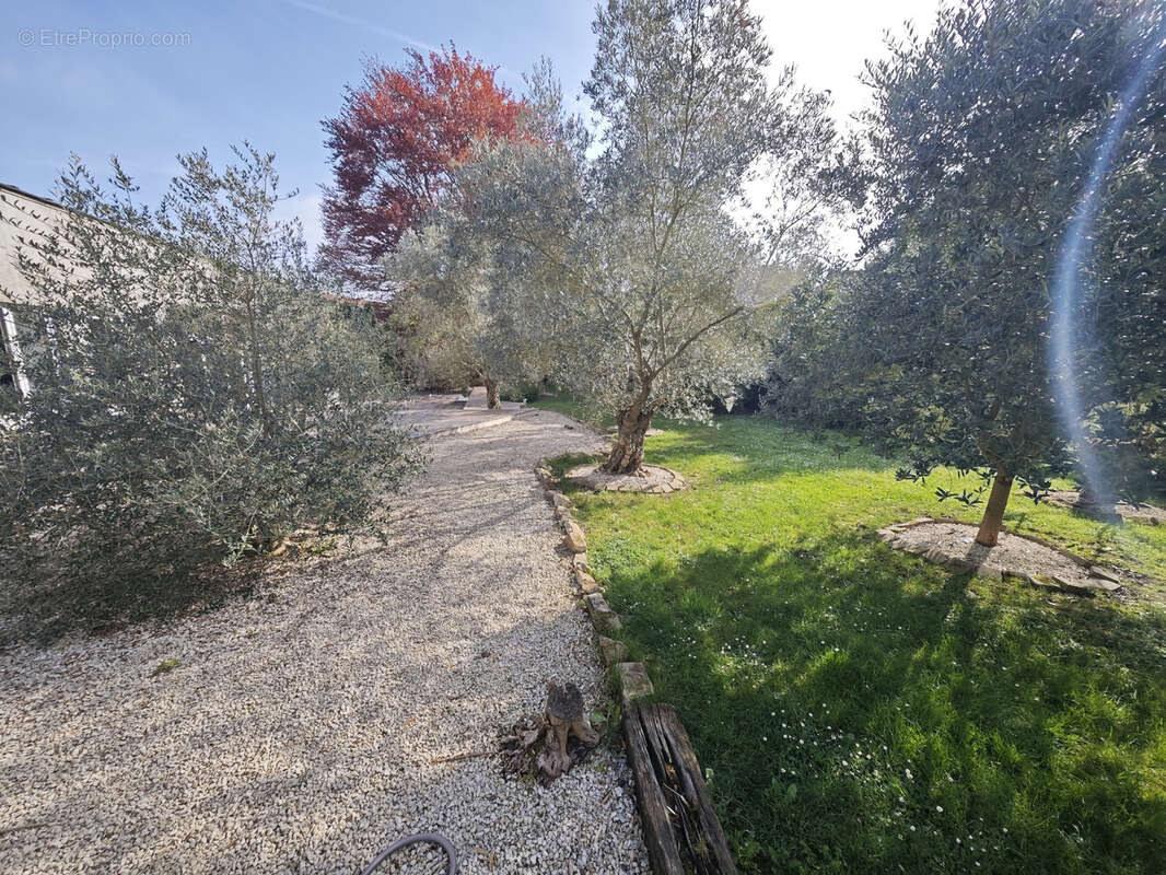 À vendre ensemble immobilier professionnel de 4 060 m2 sur 5 506 m2 de terrain - photo 6