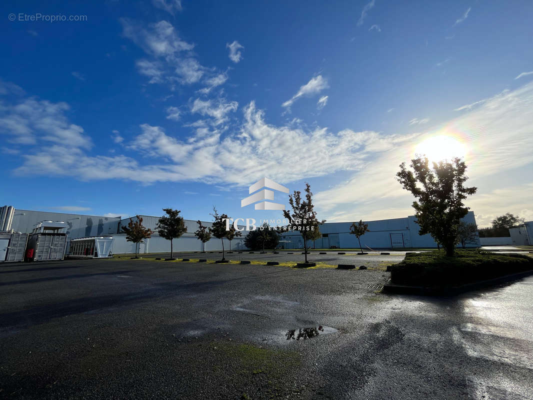 Commerce à SAINT-JULIEN-DE-CONCELLES