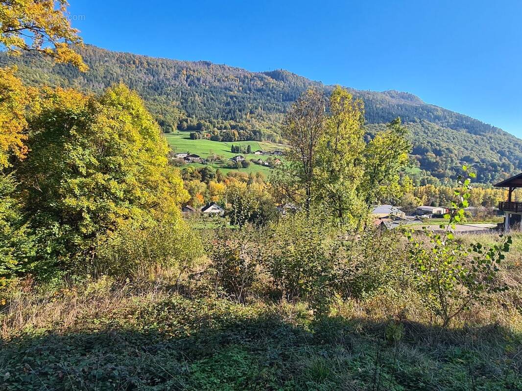 Terrain à ALBERTVILLE