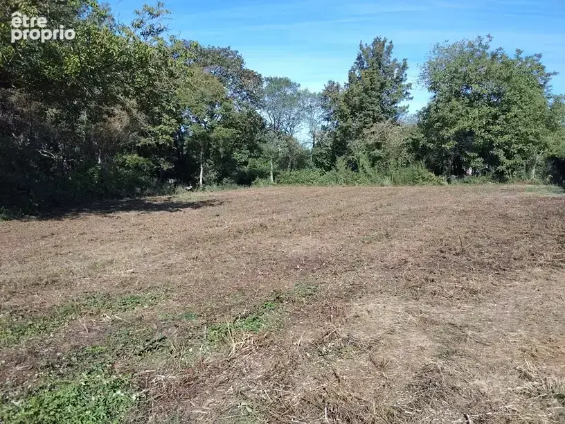Terrain 1 737 m² à vendre à Ancier (70100) - photo 2