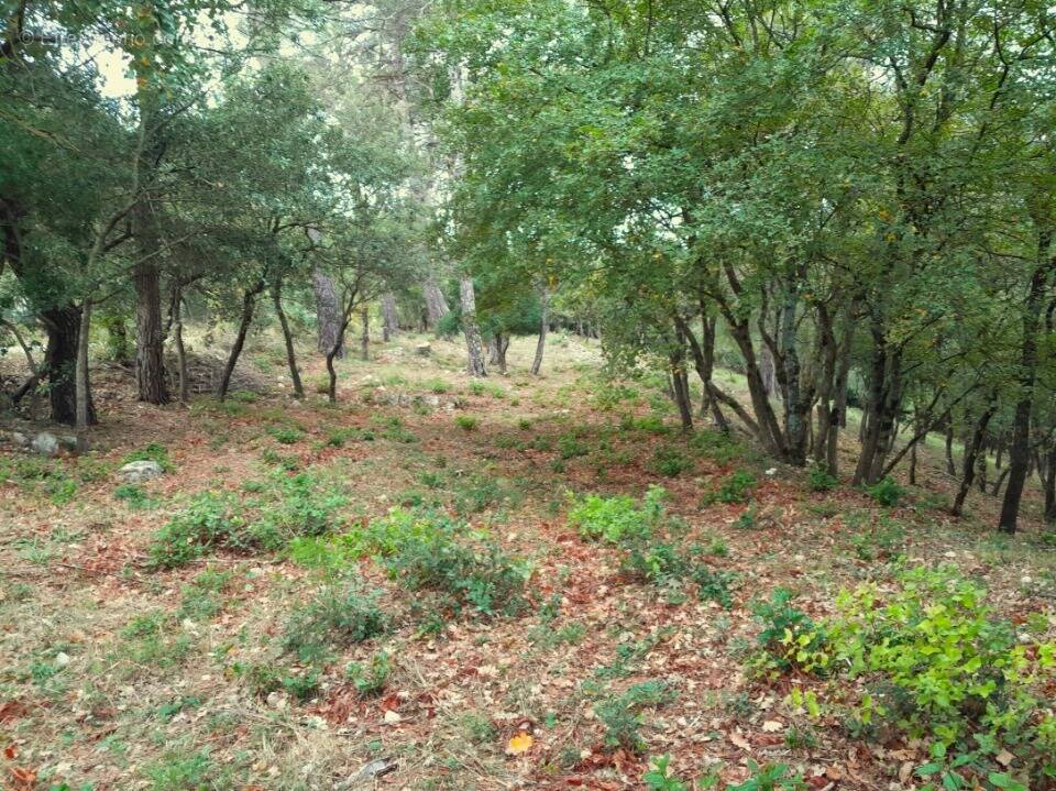 Terrain à SAINT-MAXIMIN-LA-SAINTE-BAUME