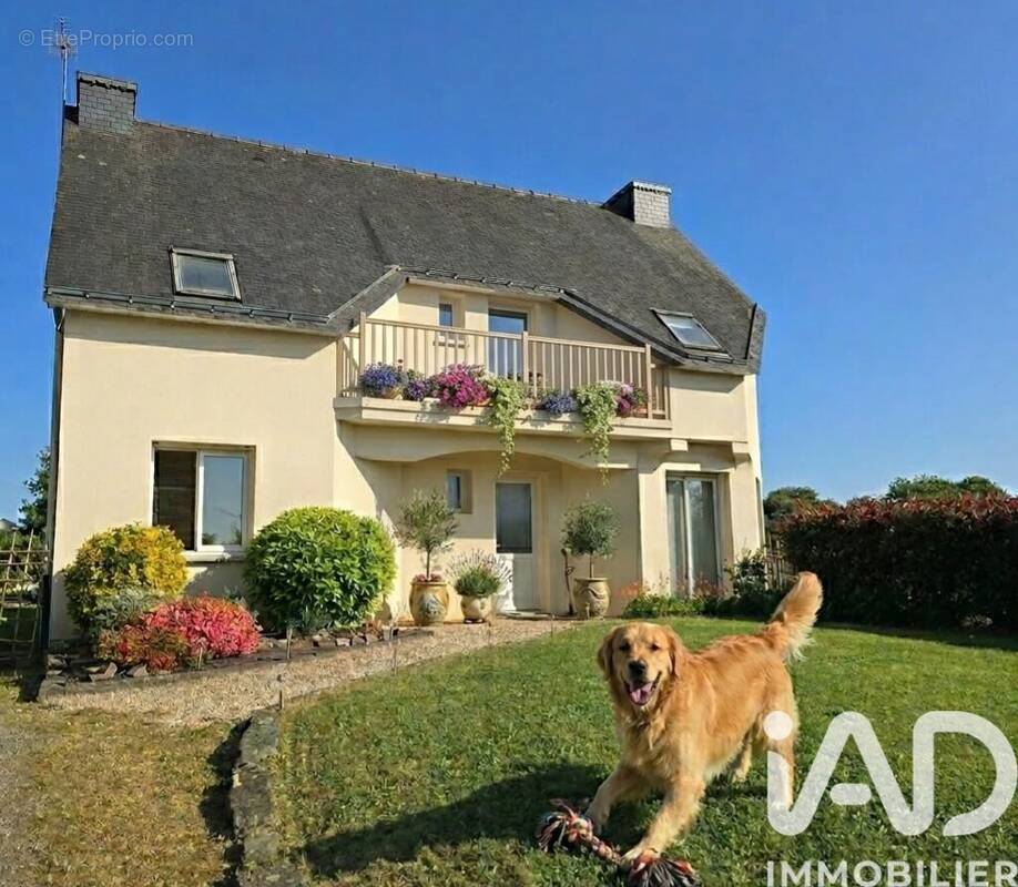 Photo 1 - Maison à CAMOEL