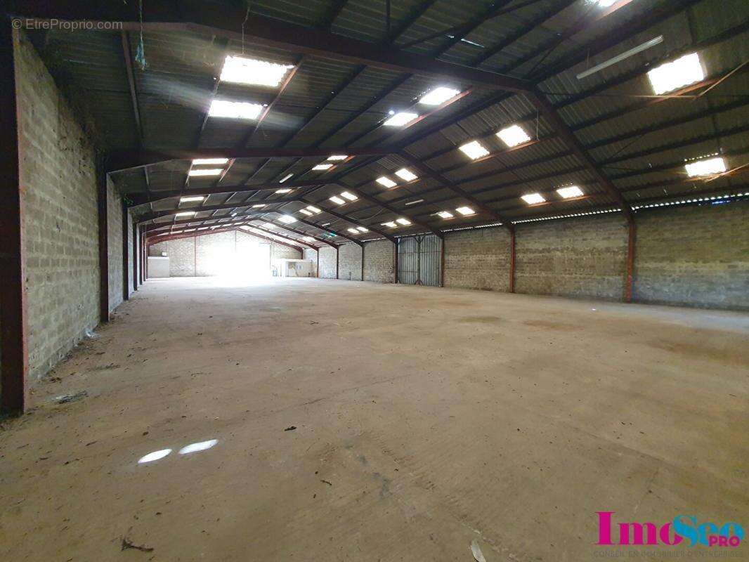 Commerce à AMBARES-ET-LAGRAVE