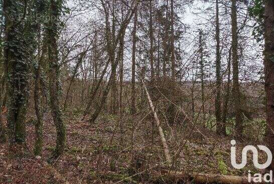 Photo 3 - Terrain à PAGNY-SUR-MOSELLE