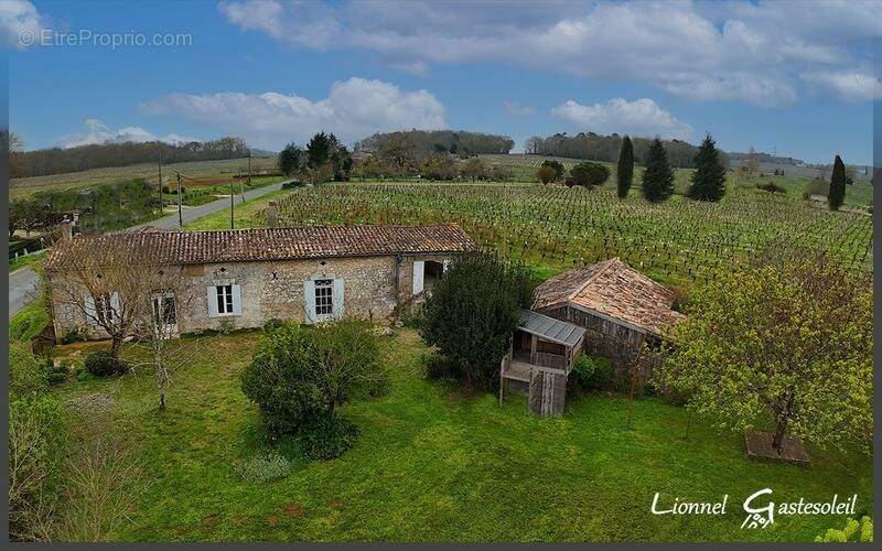 Maison à SAINT-QUENTIN-DE-CAPLONG