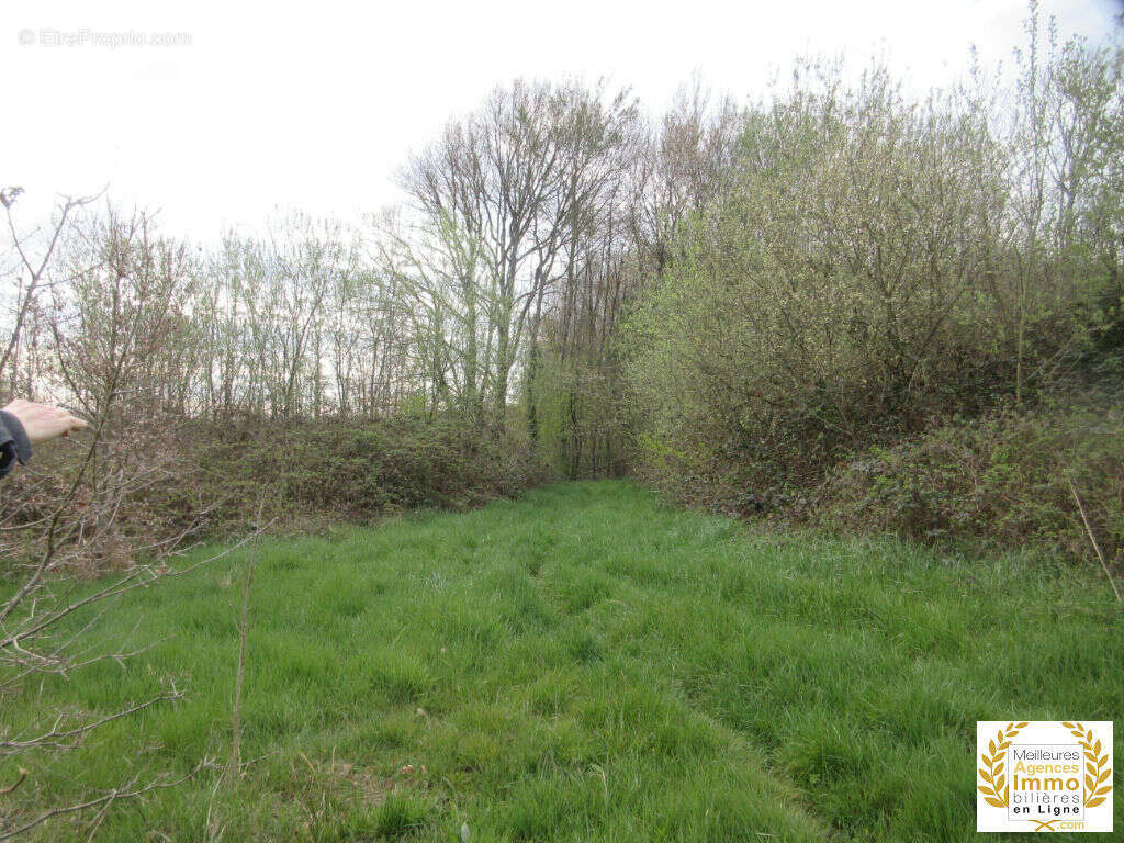 Terrain à ALENCON