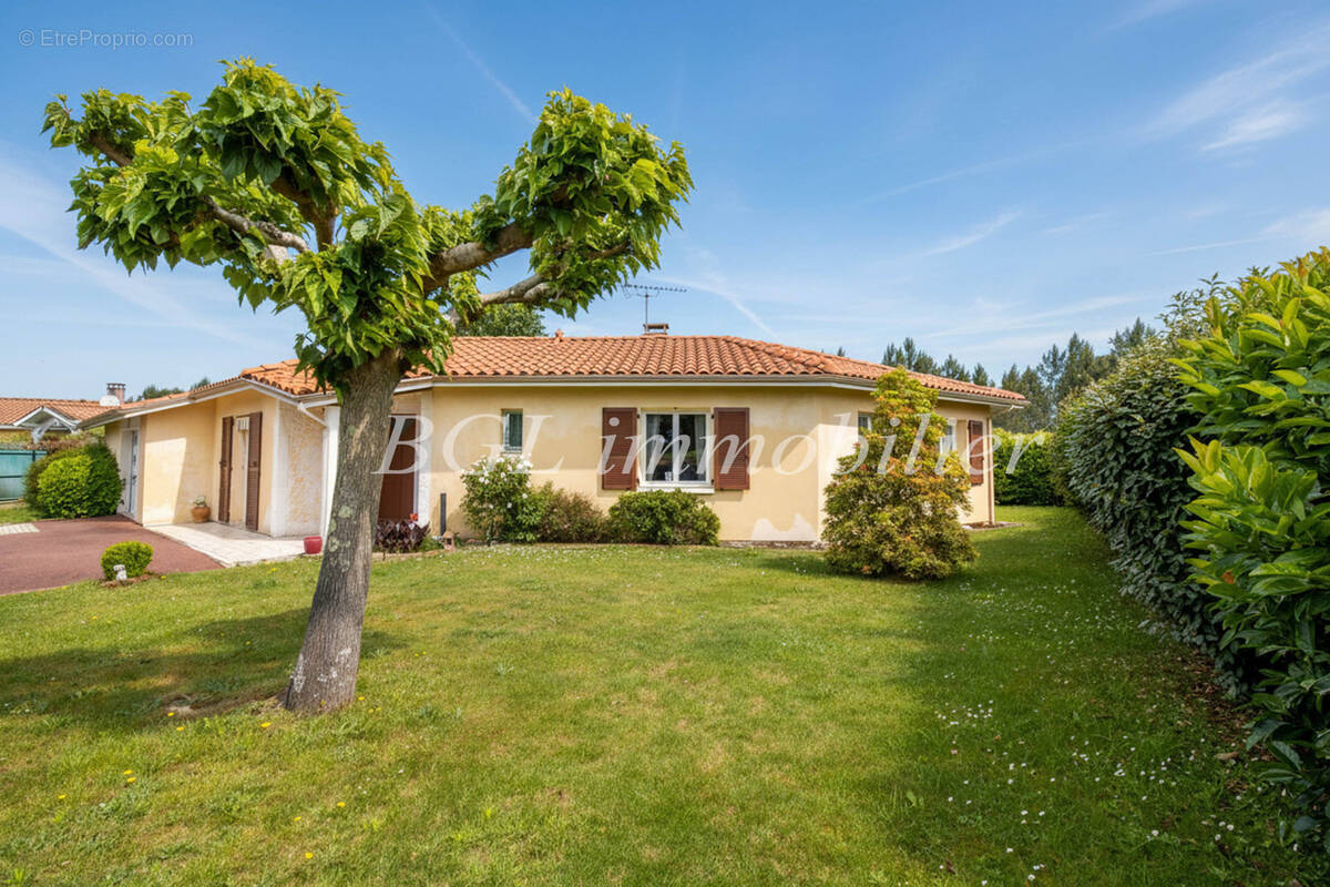 Maison à BISCARROSSE