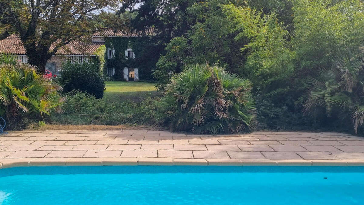 piscine - Maison à PEYREFITTE-DU-RAZES