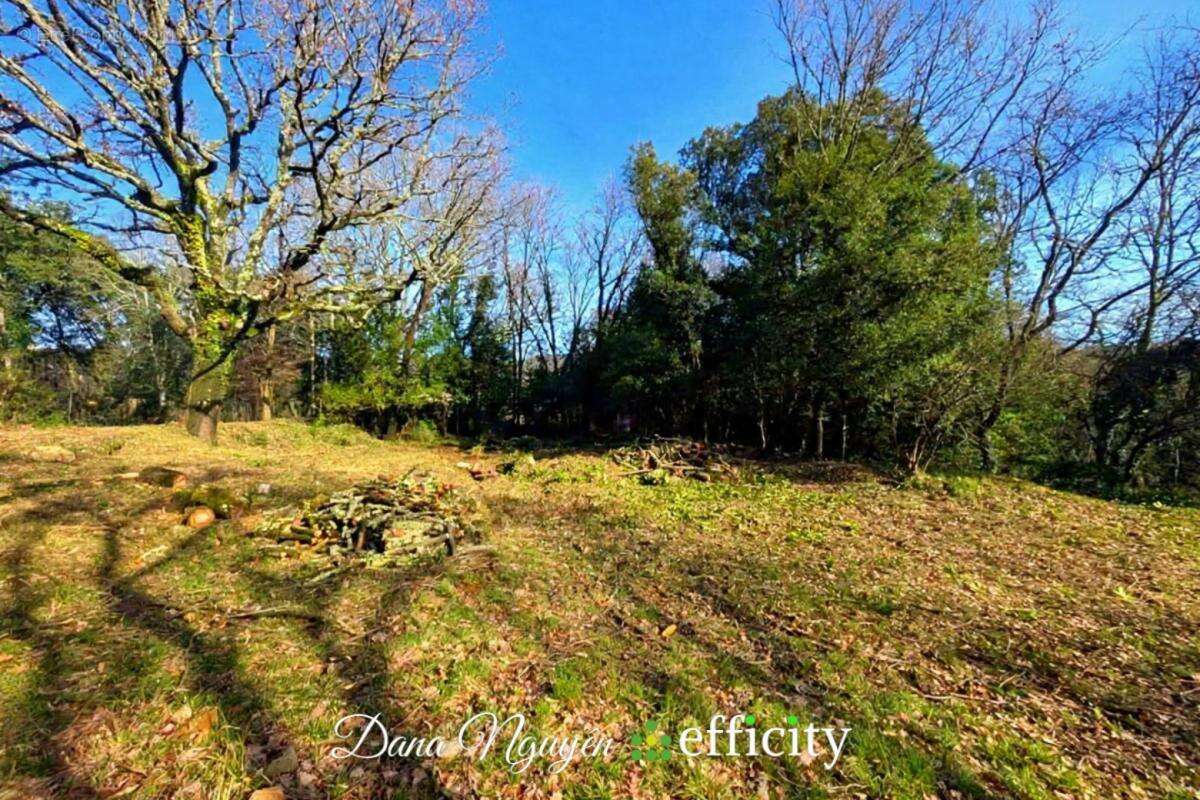 Terrain 1040 m² à Molieres-Sur-Ceze  - photo 4