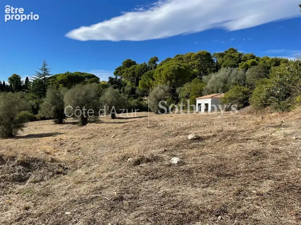 Projet de 3 villas contemporaines sur 35 233 m² - photo 2