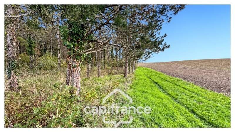 Maison à MONFLANQUIN