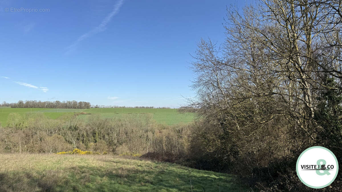 Terrain à ESSON