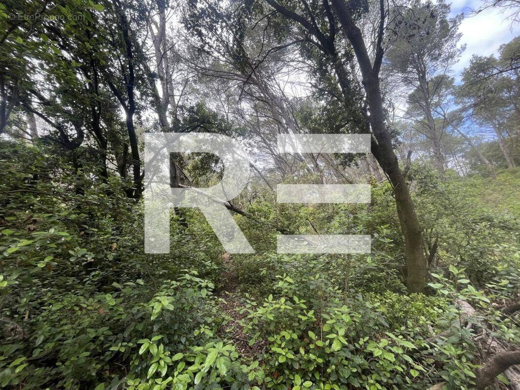 Terrain à BEAUVOISIN