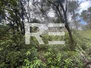 Terrain à BEAUVOISIN