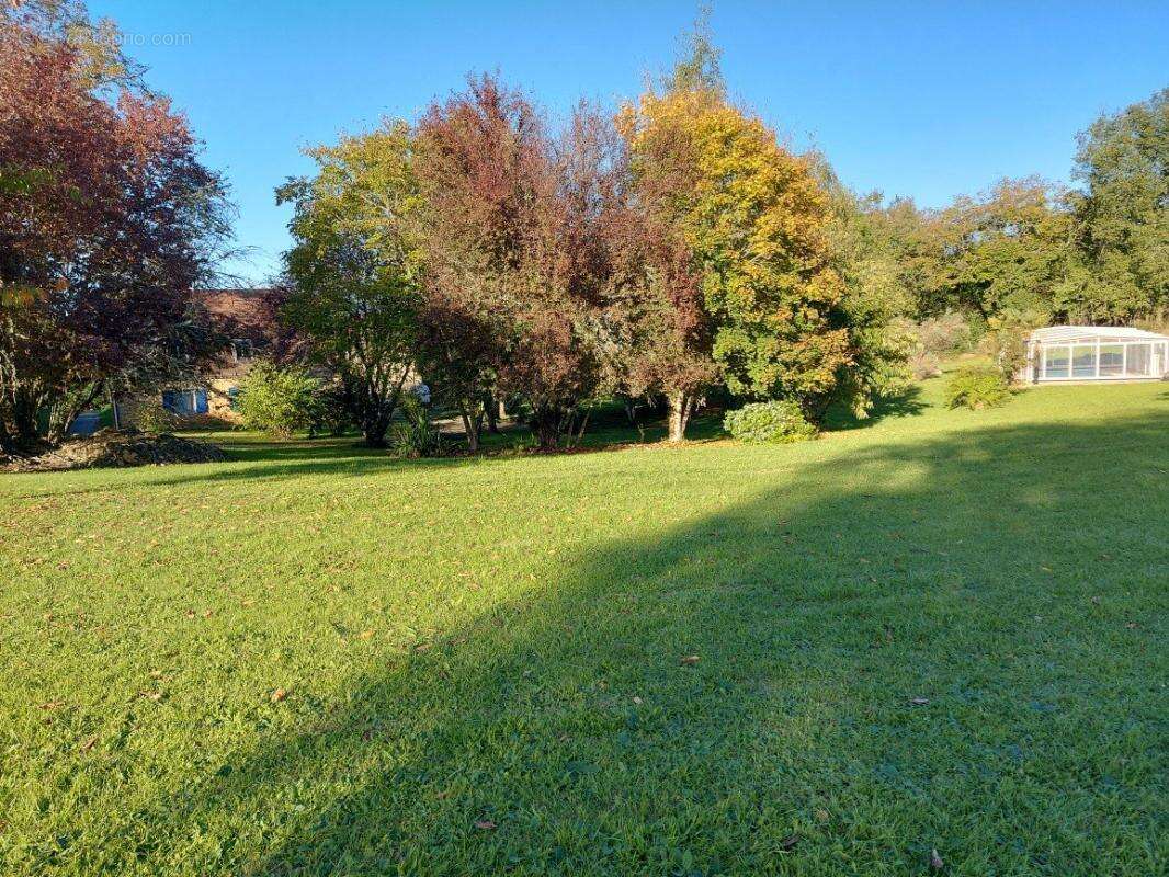 Maison à LE BUISSON-DE-CADOUIN