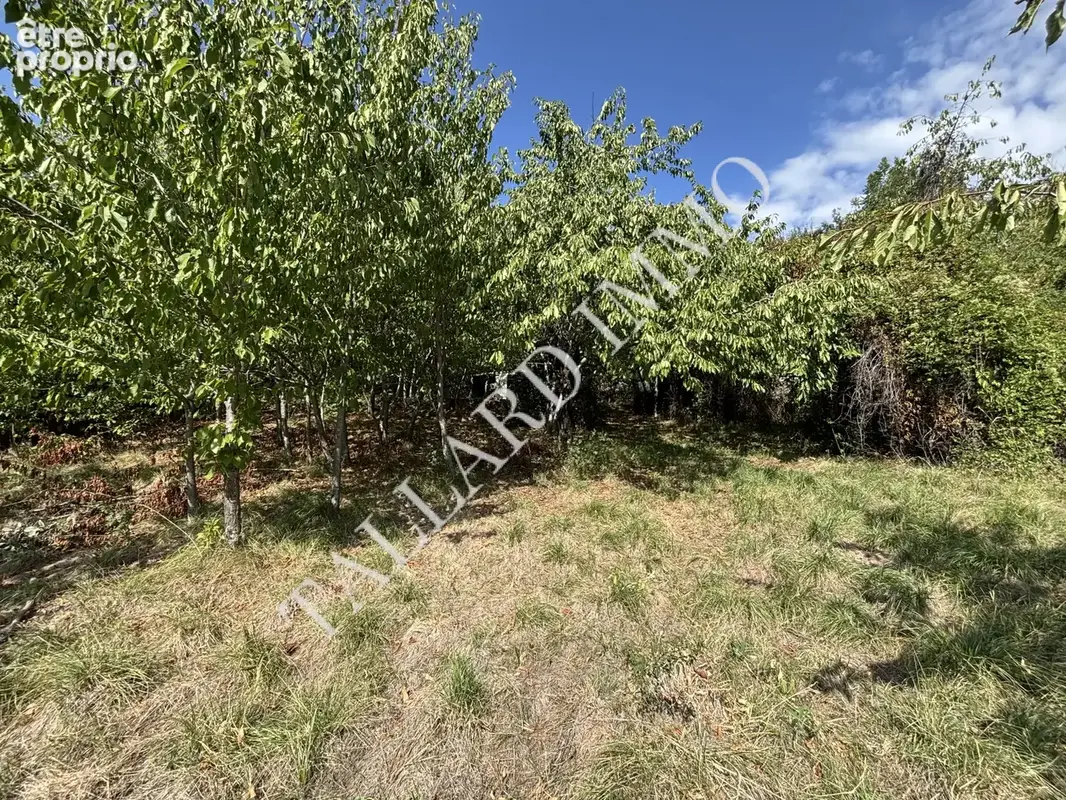 Terrain 1 687 m² à vendre à Tallard (05130) - photo 5
