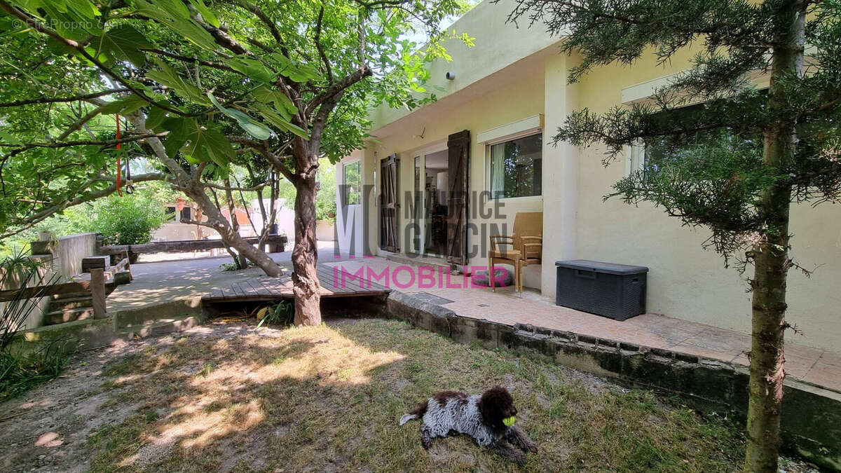 Maison 110 m² à Entraigues-Sur-La-Sorgue  - photo 2