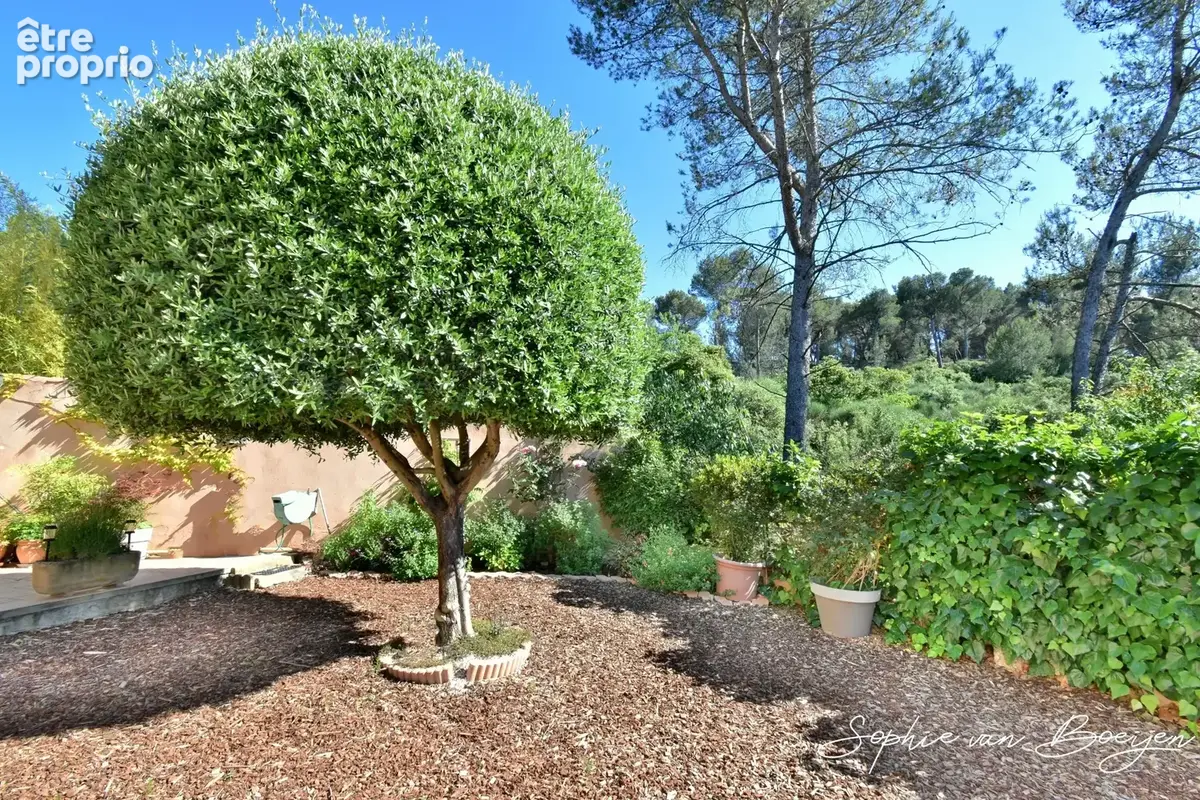 Maison à vendre à pied du village BOUC BEL AIR (13), vue nature, 160 m2, 5 chambres, piscine, jardin 500 m2, sous-sol - photo 17