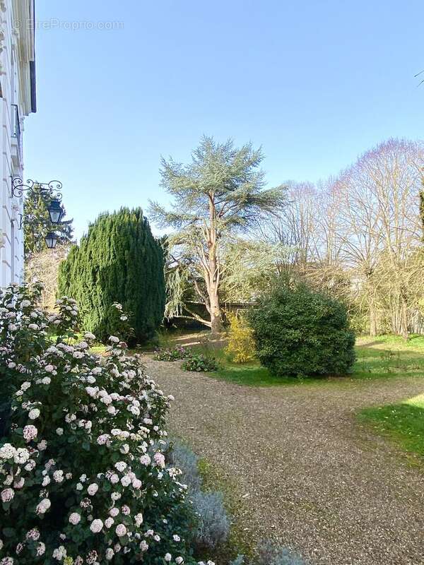 Maison 315 m² à Evreux  - photo 4