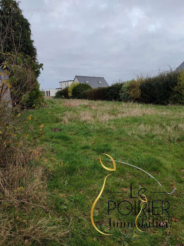 Terrain à SAINT-TRIMOEL