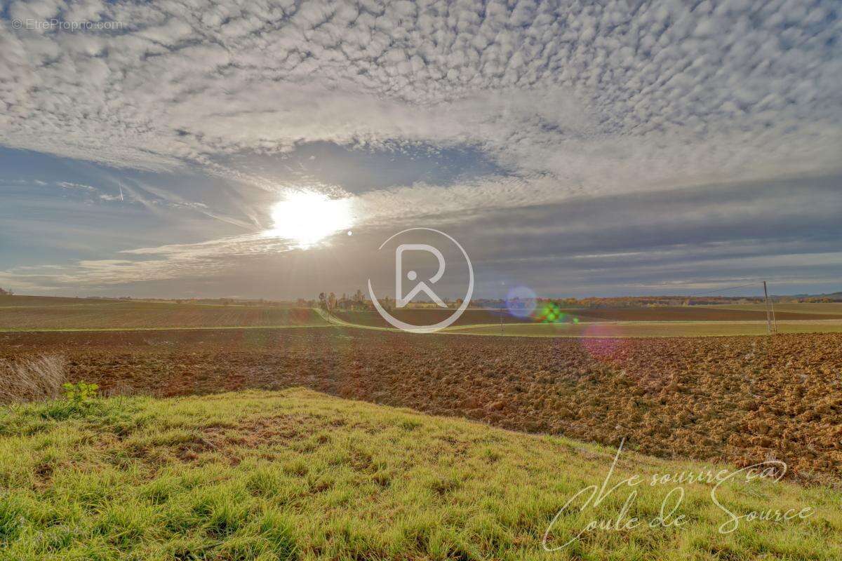 Terrain à BEAUMONT-DE-LOMAGNE