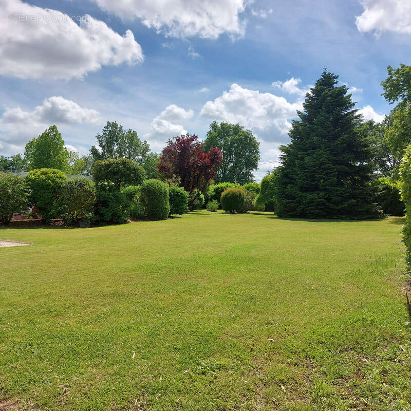 Maison à vendre 13 pièces MONTAUBAN (82), salle de reception, parking, bureaux, cave, dépendances,  parc de 8000m2, 2 entrées in - photo 89