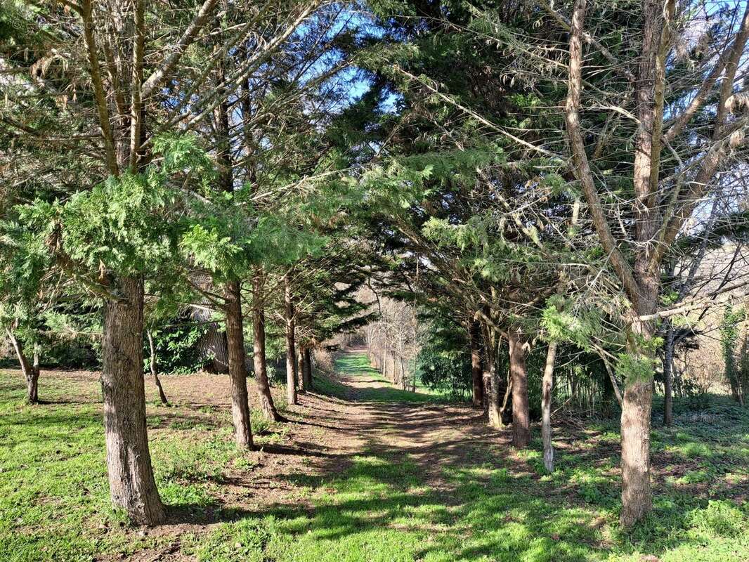 Maison à VIC-FEZENSAC