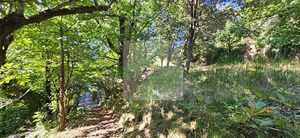 Maison à LE COLLET-DE-DEZE