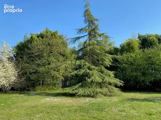 Terrain 1 340 m² à vendre à Baurech (33880) - photo 3