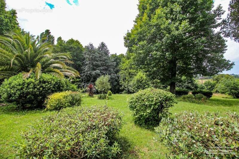 La métairie de Lagouarde à Pouillon de 1,3 hectare - photo 15