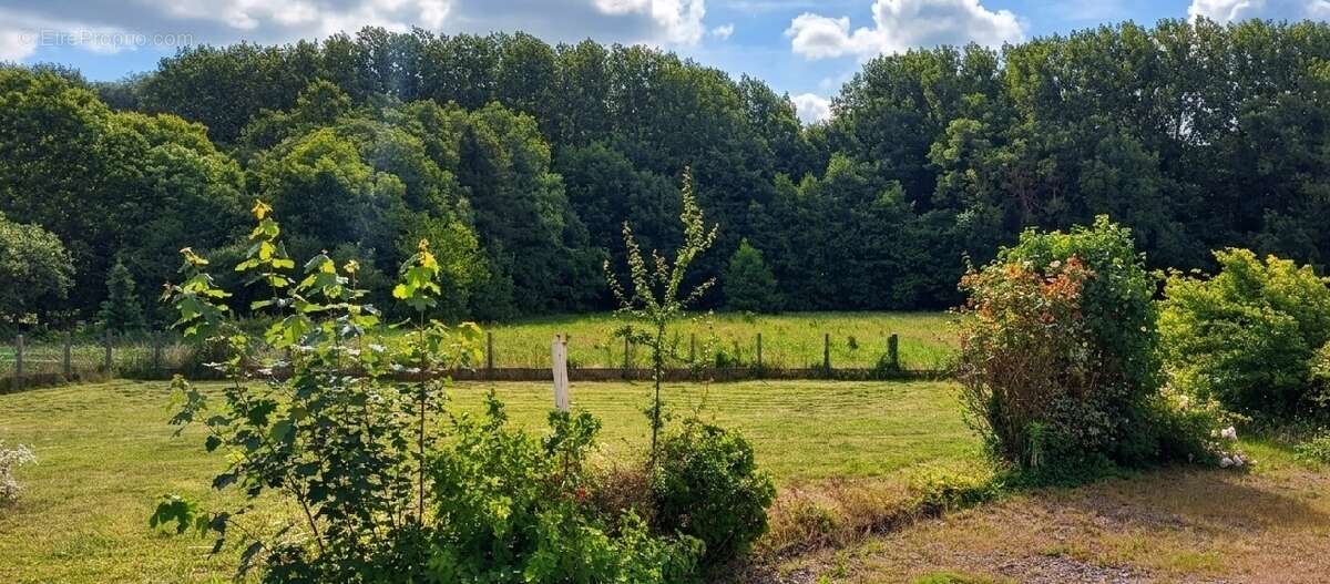 Maison 153 m² à Houdain  - photo 6